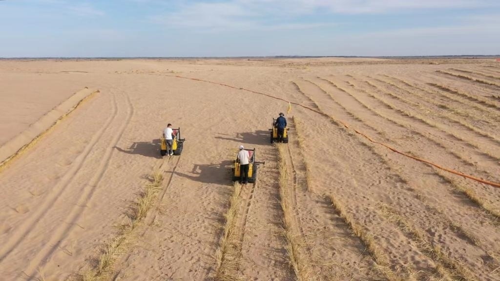 內蒙古巴彥淖爾市烏拉特后旗西補隆林業(yè)管護中心職工駕駛機械鋪設壓沙障。新華社記者 李云平 攝