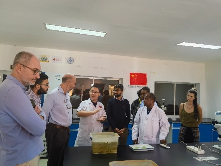 活動(dòng)現(xiàn)場(chǎng)。專家組供圖