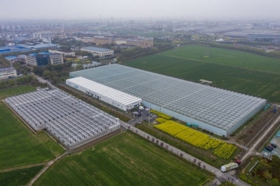 2024年3月28日，空中俯瞰嘉興南湖區(qū)湘家蕩農(nóng)業(yè)數(shù)字化工廠（無人機(jī)照片）。該農(nóng)業(yè)數(shù)字化工廠占地總面積約62畝，包含智慧農(nóng)業(yè)生產(chǎn)、物聯(lián)網(wǎng)智能管理、自動(dòng)分揀包裝、保鮮儲(chǔ)藏物流、高科技示范展示等五大功能區(qū)，可直接或間接培養(yǎng)帶動(dòng)新型職業(yè)技術(shù)農(nóng)民500人以上。新華社記者 徐昱 攝