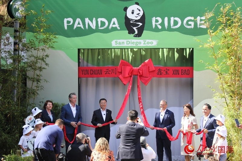 1、中國駐美國大使謝鋒、加州州長紐森、圣迭戈市市長格洛利亞等人共同為“熊貓嶺”開館剪彩。 人民網(wǎng)記者 李志偉攝