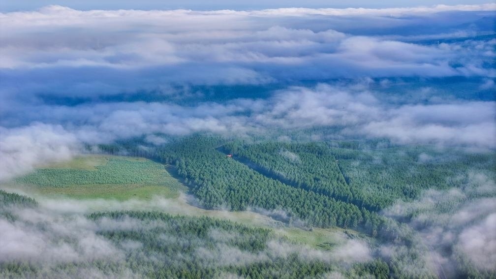 2024年7月26日拍攝的塞罕壩國(guó)家級(jí)自然保護(hù)區(qū)景色。新華社發(fā)（劉滿倉(cāng) 攝）