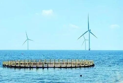 △山東萊州風(fēng)電項(xiàng)目實(shí)現(xiàn)了海上風(fēng)電和海洋牧場融合發(fā)展。