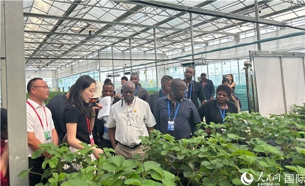 研討班成員在大棚中了解植物種植技術(shù)。人民網(wǎng) 曹欣悅攝