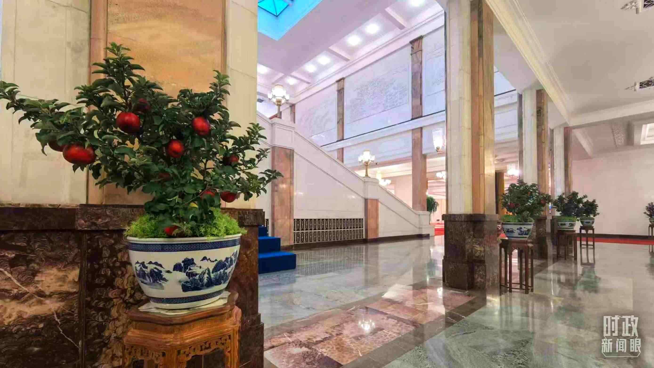  △大會(huì)堂內(nèi)的“碩果累累”盆栽。（總臺(tái)國(guó)廣記者吳倩拍攝）