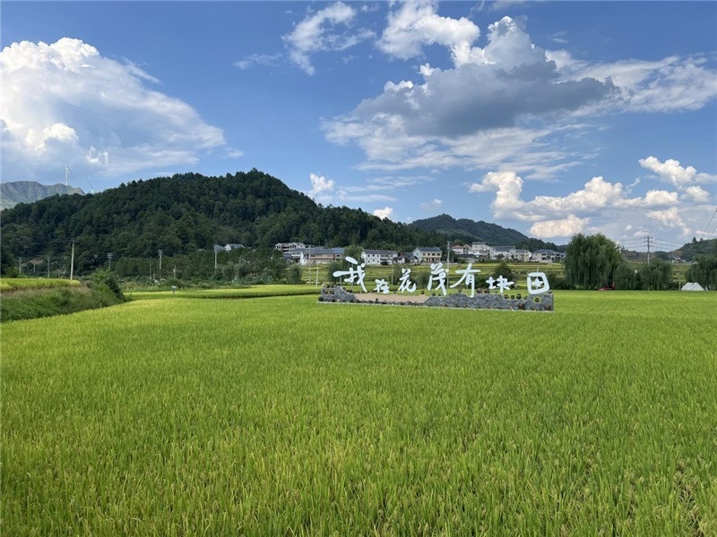 青瓦白磚的黔北民居、風(fēng)中搖曳的稻田、抬手可觸的大片云朵……才剛下車，格魯吉亞“經(jīng)濟(jì)中心網(wǎng)”總編輯莉安娜·喬爾喬利亞尼就被眼前的景色拖住了步履，喃喃細(xì)語(yǔ)：“實(shí)在太美了，讓我內(nèi)心平靜，在這里生活一定非常安逸和幸福?！保ㄇ褫x攝）