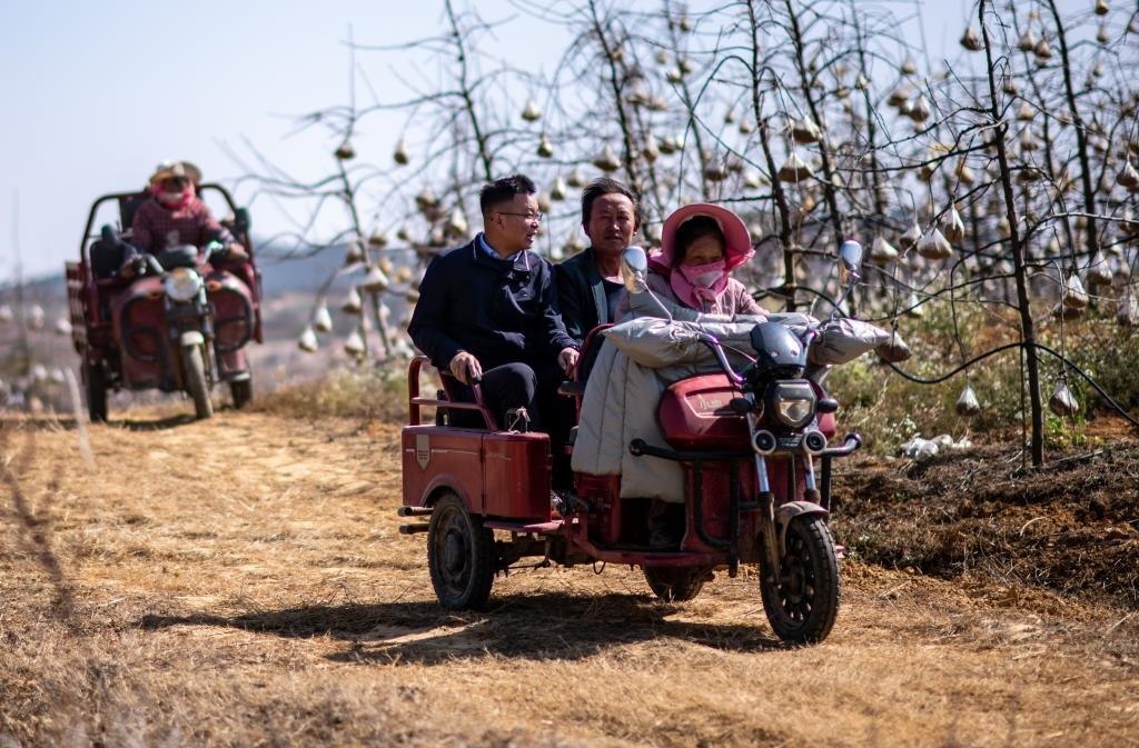 全國(guó)人大代表袁海波（右三）在云南省曲靖市馬龍區(qū)一種植基地了解務(wù)工人員就業(yè)需求（2023年2月11日攝）。新華社記者 江文耀 攝