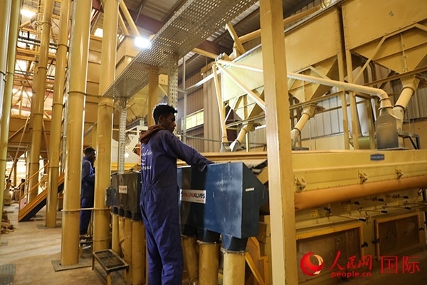 在Bule Hora咖啡加工廠里工作的當(dāng)?shù)毓と藗?。人民網(wǎng)記者 沈小曉攝