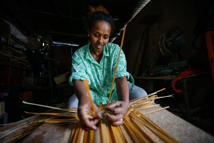 2024年8月10日，菲基爾特·加布雷在埃塞俄比亞首都亞的斯亞貝巴名為“綠色金子”的竹藤工作室里加工竹制產(chǎn)品。新華社發(fā)（邁克爾·特韋爾德 攝）