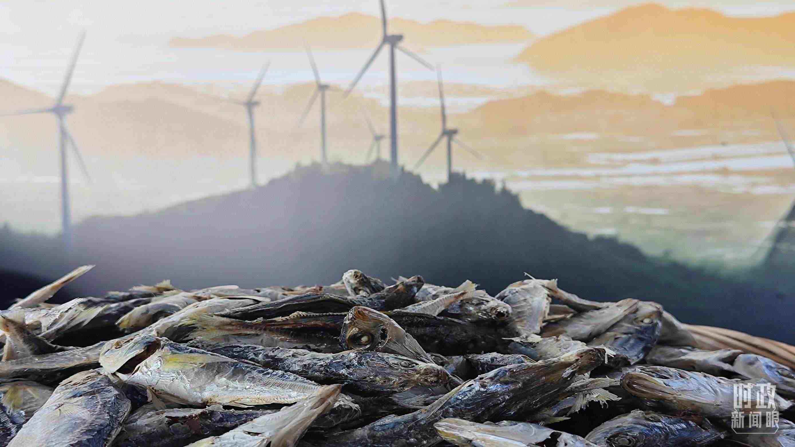 △澳角村的海產(chǎn)品。（總臺央視記者許永松拍攝）