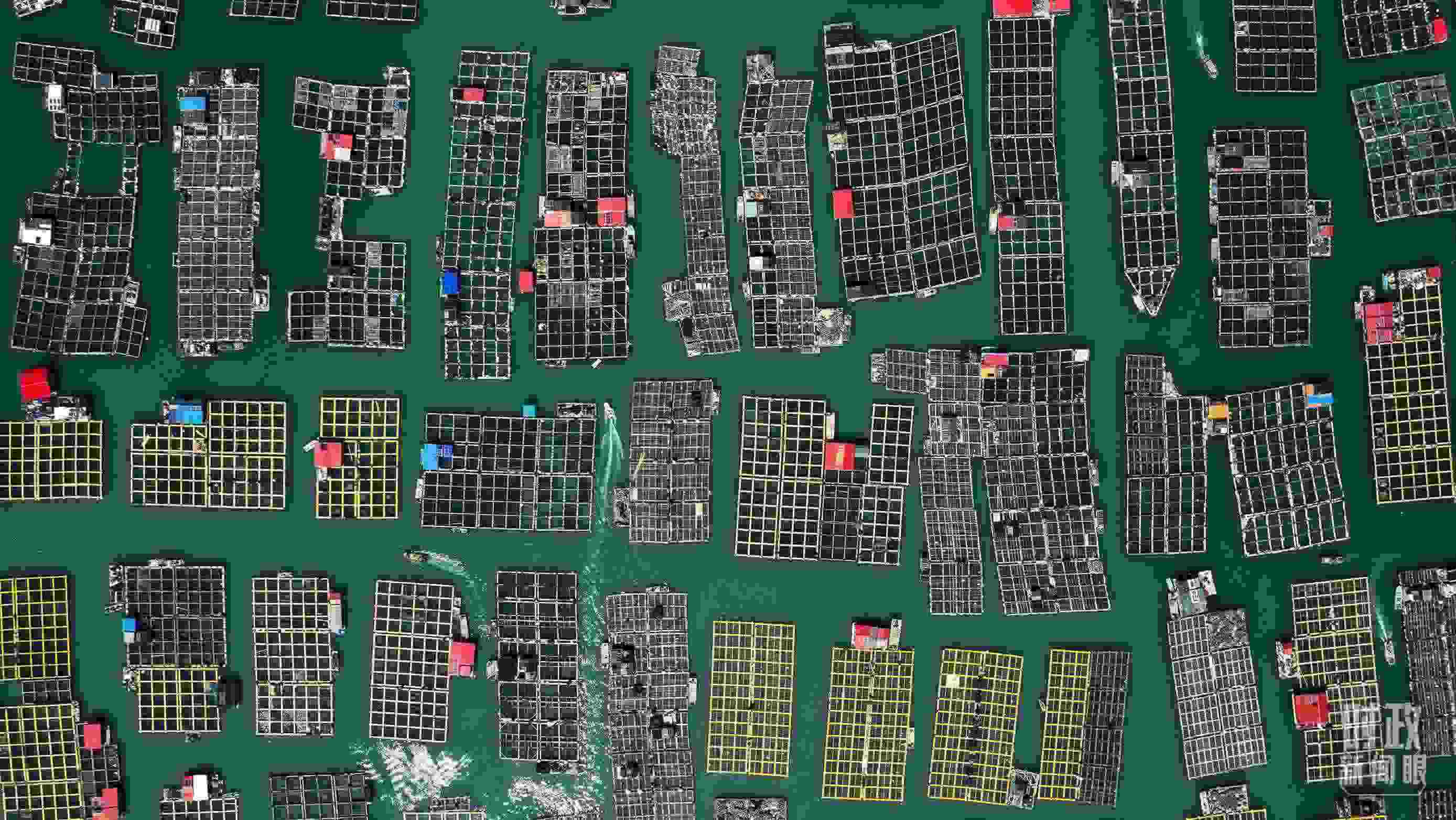 △澳角村。（總臺記者李晉拍攝）