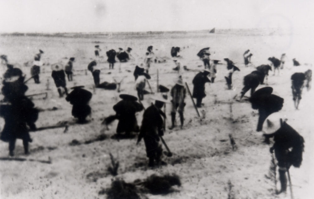 上世紀東山百姓在沙灘造林（資料照片）。