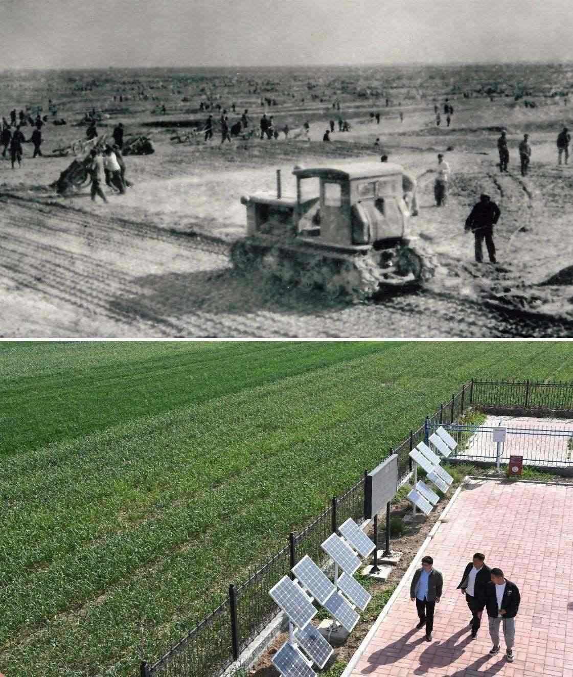 上圖為二十世紀(jì)六十年代蘭考改造鹽堿地的情景（資料照片）；下圖為2024年4月18日拍攝的蘭考縣紅廟鎮(zhèn)高標(biāo)準(zhǔn)農(nóng)田示范區(qū)。（新華社記者 朱祥 攝）