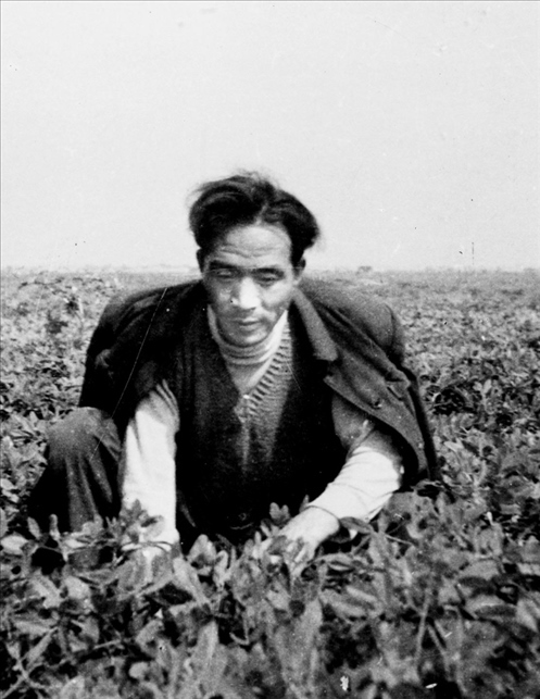 在蘭考期間，焦裕祿在田間勞動(dòng)的情景。