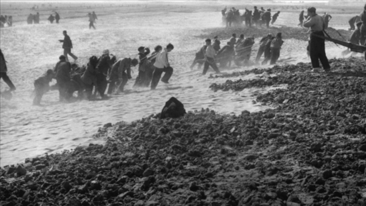 蘭考群眾在拉淤土壓沙。（新華社記者 鄧歷耕 攝）