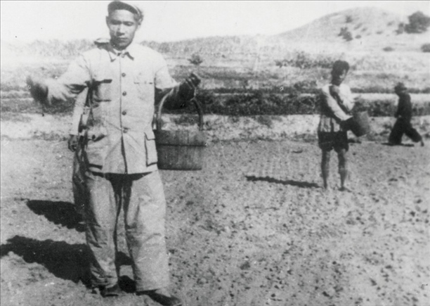 △ 谷文昌在福建省東山縣坑北村參加播種。