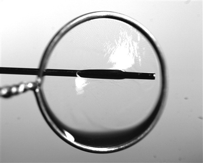 液膜被銅針穿透時(shí)仍能保持不破裂。 受訪者供圖