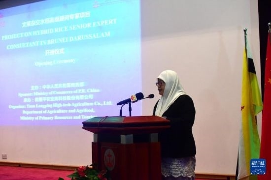 10月26日，文萊初級資源與旅游部常任秘書圖蒂亞蒂在斯里巴加灣市出席中國與文萊雜交水稻高級專家顧問項目啟動儀式。新華社記者 李萌 攝