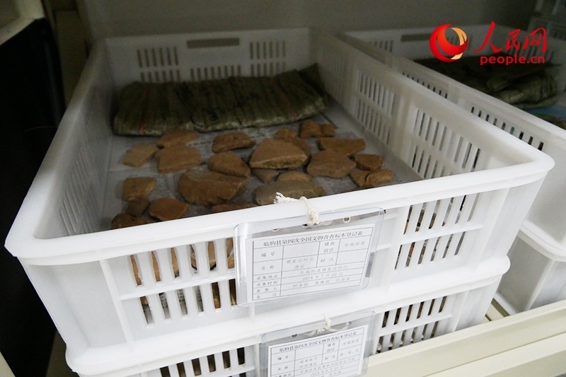 已經(jīng)整理完畢的文物標(biāo)本。人民網(wǎng)記者 韋衍行攝