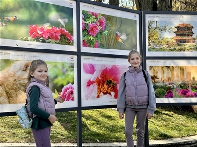 活動現(xiàn)場。中國駐保加利亞大使館供圖。