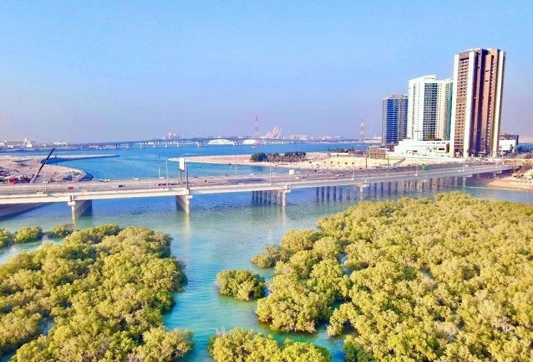 圖為瑞姆橋施工現(xiàn)場(chǎng)。中國(guó)土木供圖