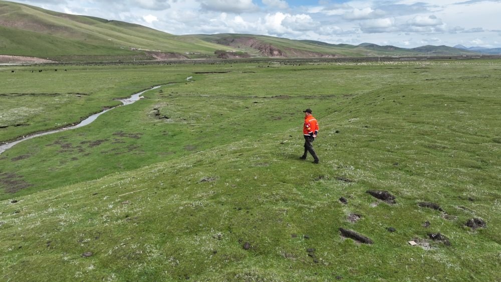 9月24日，生態(tài)管護(hù)員那瓦才郎在草場上巡護(hù)。（受訪者供圖）