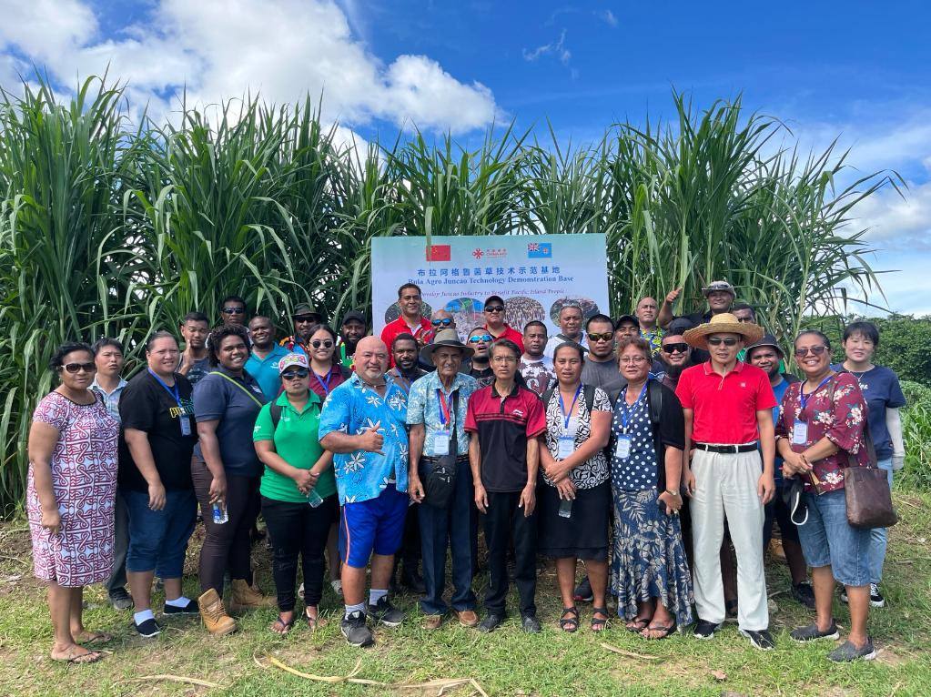 2024年2月28日，來自巴布亞新幾內亞、湯加、庫克群島、薩摩亞、瑙魯等國家的“太平洋島國菌草技術培訓班”學員在斐濟布拉阿格魯菌草技術示范基地合影。新華社發(fā)（中國援斐濟菌草技術示范中心供圖）