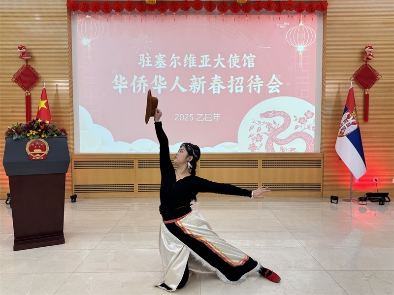 招待會現(xiàn)場表演。諾維薩德孔子學院供圖