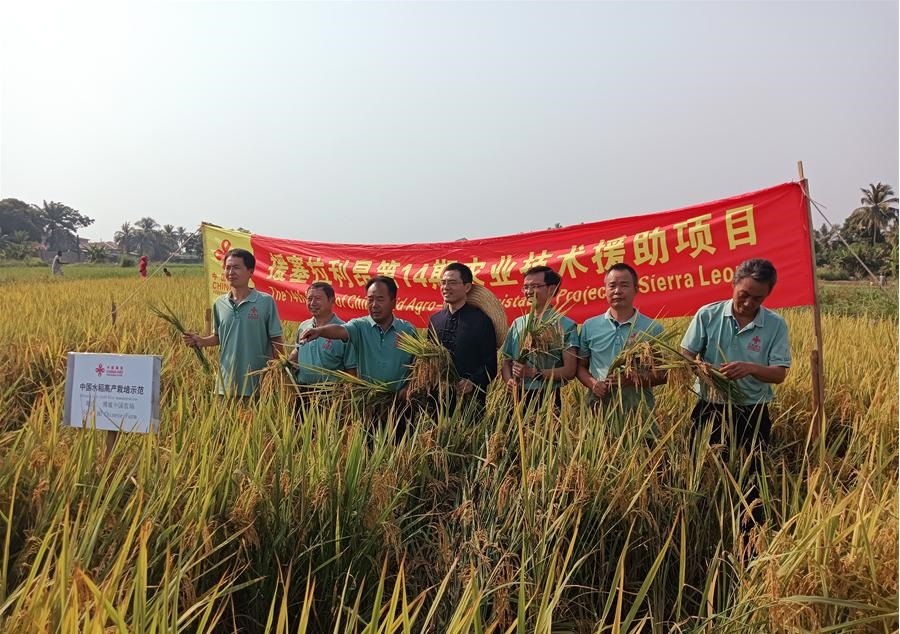 中國(guó)駐塞拉利昂大使王擎和援塞農(nóng)業(yè)專(zhuān)家組合影。中國(guó)援塞農(nóng)業(yè)專(zhuān)家組供圖