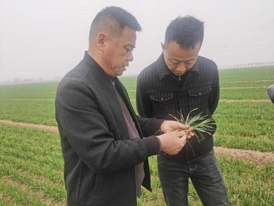 在山東濟(jì)寧汶上縣苑莊鎮(zhèn)，農(nóng)技員黃海龍對(duì)種糧大戶王振現(xiàn)場(chǎng)進(jìn)行春耕指導(dǎo)。人民網(wǎng)記者 車(chē)柯蒙攝