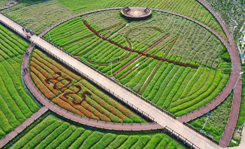 這是3月21日拍攝的瓊海博鰲南強(qiáng)村景色（無人機(jī)照片）。新華社記者 郭程 攝