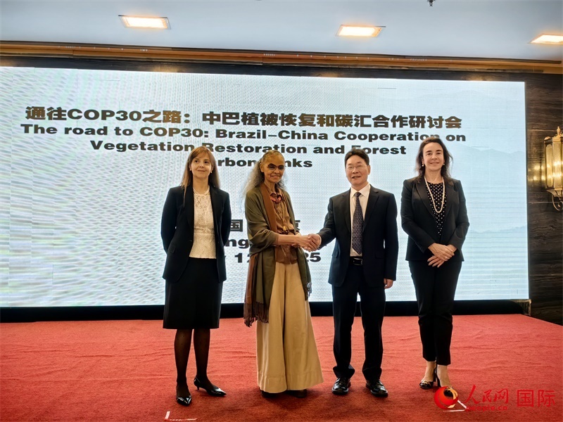 中國(guó)國(guó)家林業(yè)和草原局副局長(zhǎng)李云卿（右二）、巴西環(huán)境和氣候變化部部長(zhǎng)瑪麗娜·席爾瓦（左二）、巴西財(cái)政部副部長(zhǎng)羅熙丹（右一）、巴西駐華大使館公參樂(lè)美（左一）出席“通往COP30之路：中巴植樹(shù)造林和碳匯合作研討活動(dòng)”。人民網(wǎng)記者 符園園攝