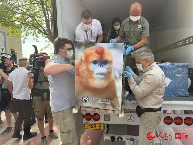 圖為活動(dòng)現(xiàn)場(chǎng)。人民網(wǎng)記者 牛瑞飛攝