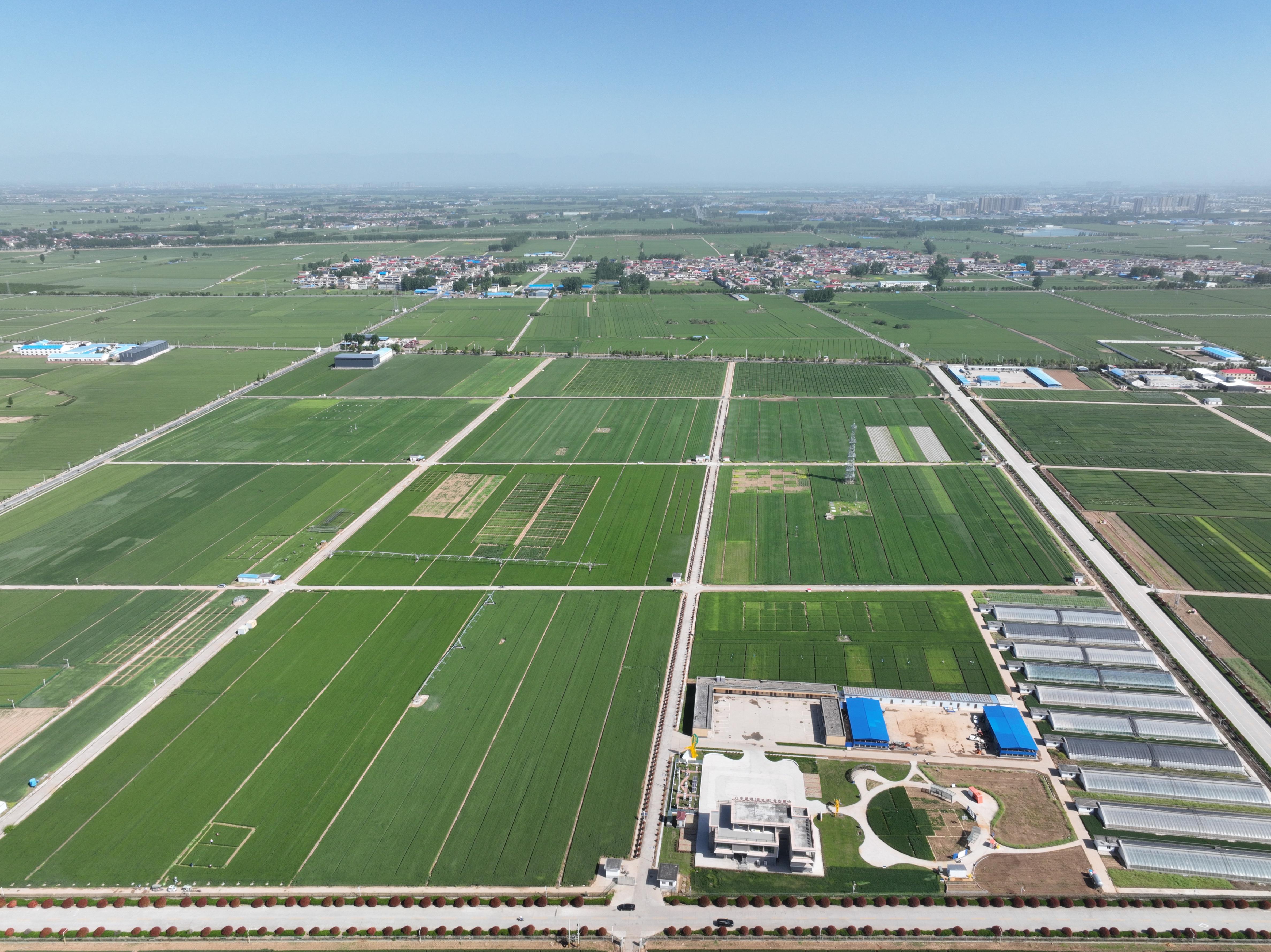 俯瞰水利部灌溉試驗(yàn)總站試驗(yàn)研究基地。受訪者供圖