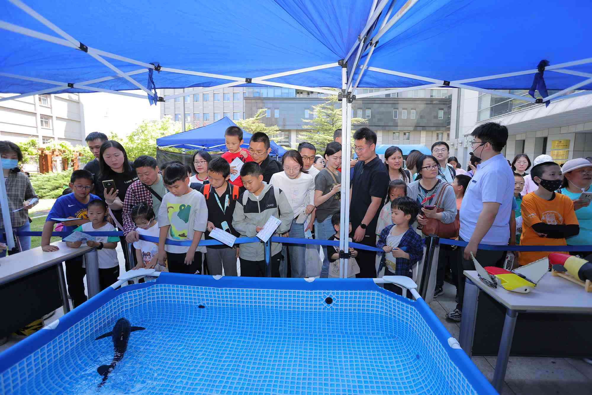 水下仿生機器魚在活動現場大受歡迎。中國科學院自動化研究所供圖